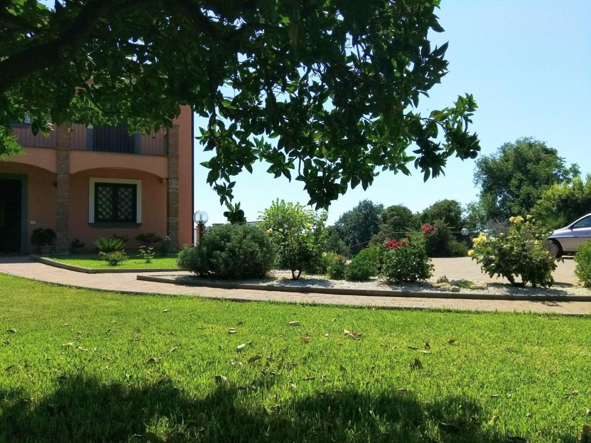 Villa Feluchia Tra Il Mare E Il Vulcano Acireale Extérieur photo